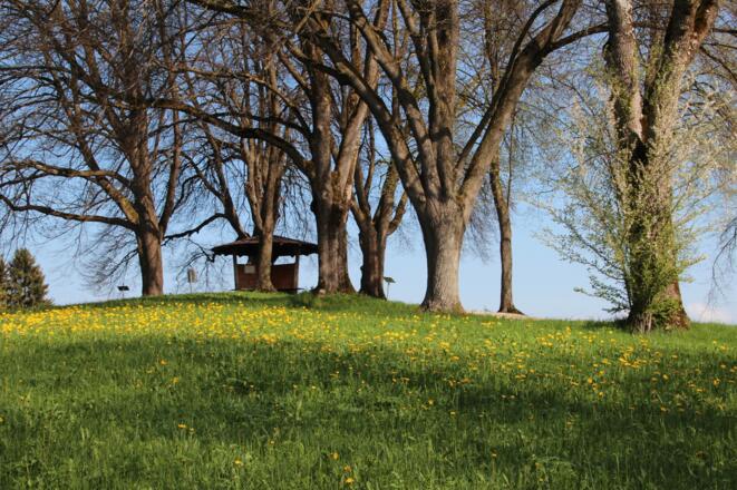 Blick vom Haus auf den Kurpark