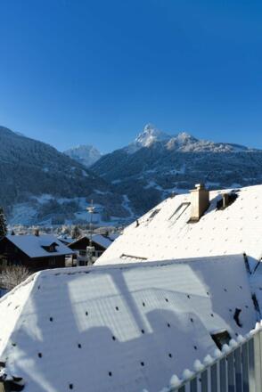 Aussicht-adler-alpenapartments-ferienwohnung-schru