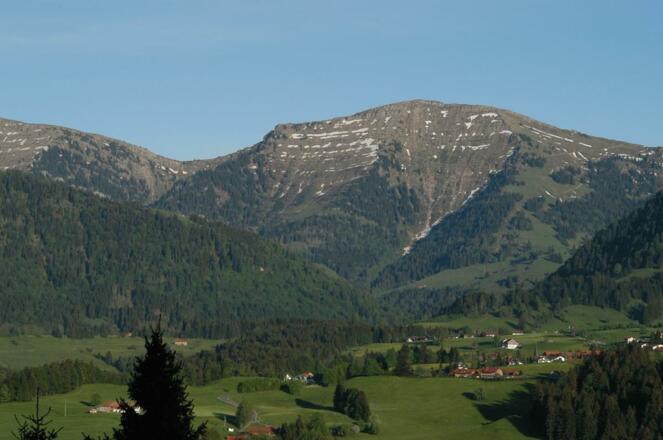 Blick auf den "Hochgrat"