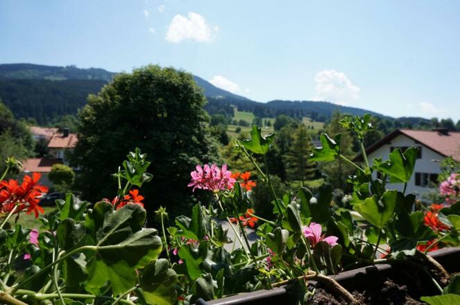Haus Weidach, Südbalkon
