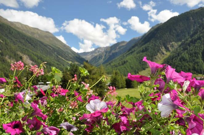 Ausblick vom Hotelzimmer ins Horlachtal