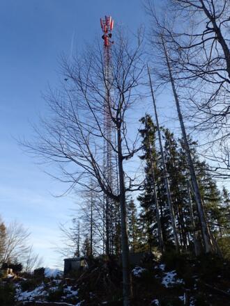 Sendemast am Sonnberg-Nebengipfel