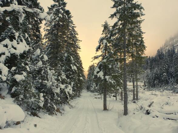 Winter_Bild_11