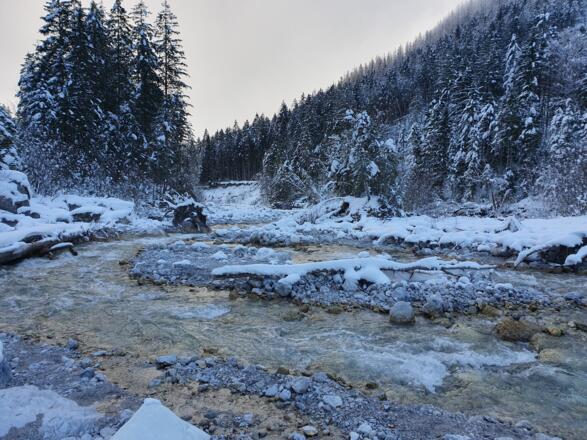 Winter_Bild_8