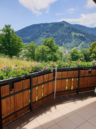 Ferienwohnung Grünten Balkonausblick