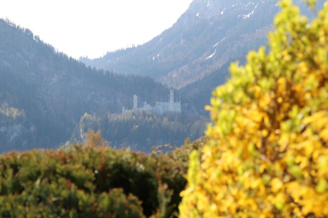 Terrassenblick auf "Neuschwanstein"