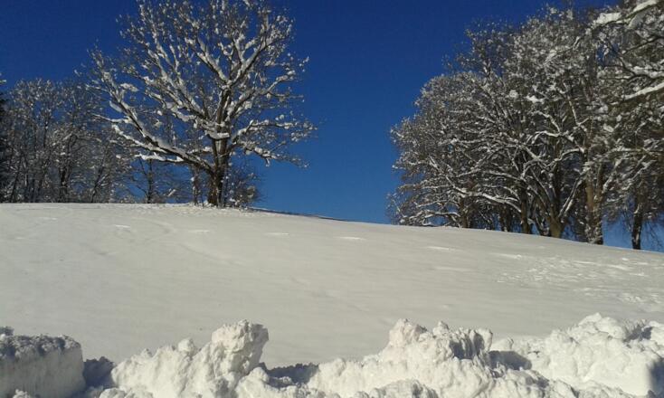 Blick vom Haus auf Kurpark