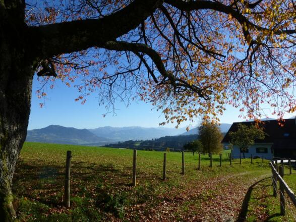 im Herbst