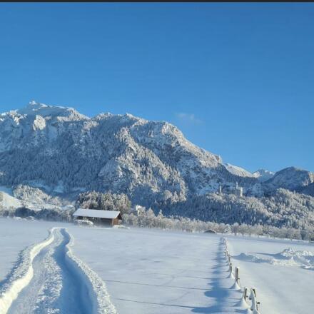 Winter Bild