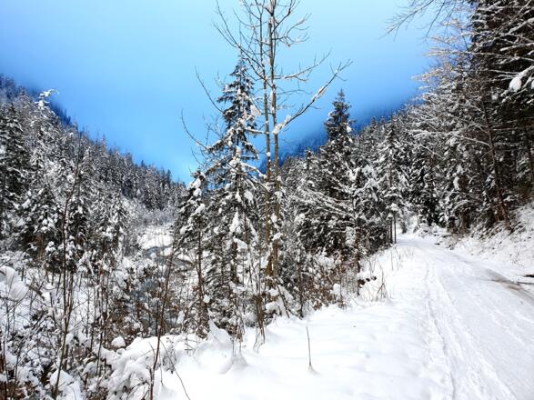 Winter_Bild_18