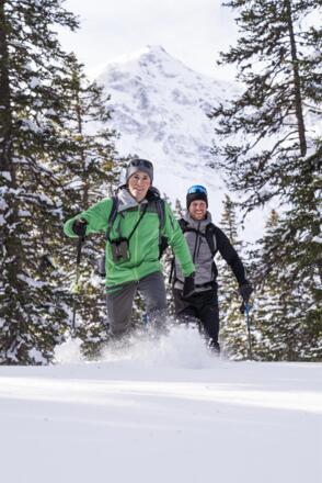 RS223_Schneeschuhe_Ranger_Sonnblick_Urwald_Rauris