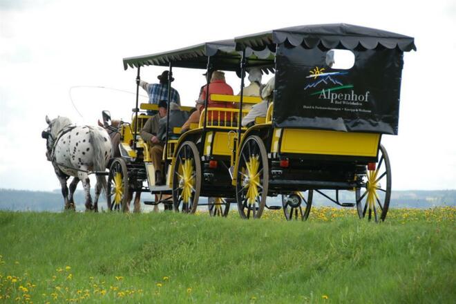 Kutschfahrt Rückansicht
