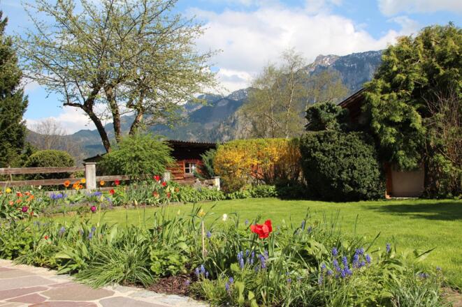 unser Garten Im Frühjahr Blick Richtung Tegelberg