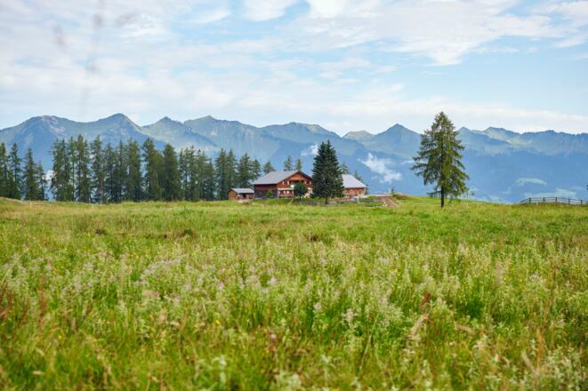 Alpe Rona auf dem Hochplateau Tschengla