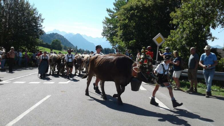 Kranzkuh am Schöllanger Viehscheid