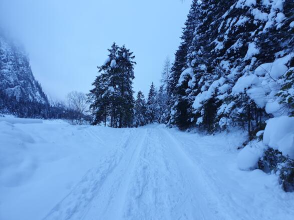 Winter_Bild_10