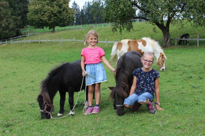 unsere Ponys