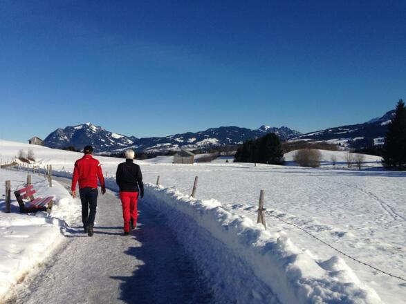 Traumhafte Winterwanderwege um Bolsterlang