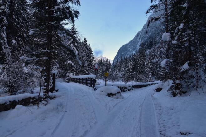 Winter_Bild_23