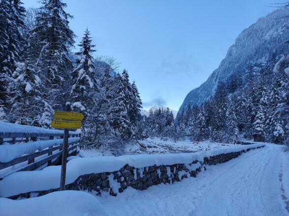 Winter_Bild_5