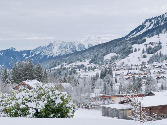 Blick zum Nebelhorn