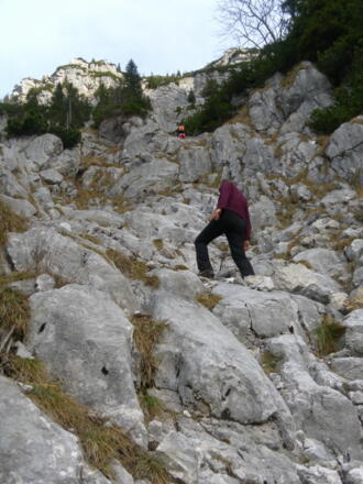 breiterer Mittelteil