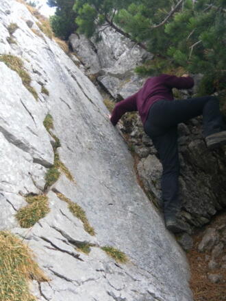 abdrängende Latschen