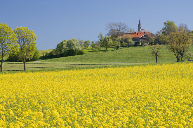 Roha Fotothek Fürmann - Blick auf Steinhögl
