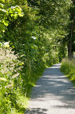 Spazierweg an der Rottach