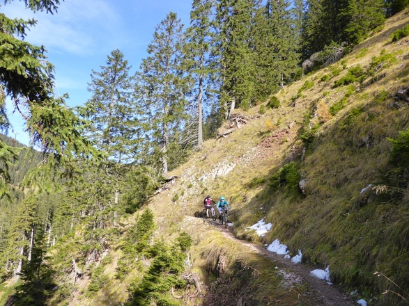 Singletrail - Enningalm Runde