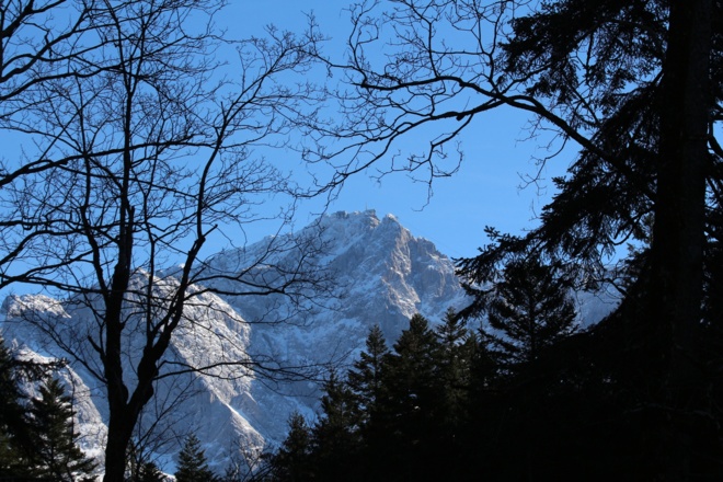 Schon zu Beginn blitzt die Zugspitze immer wieder durch den dichten Wald