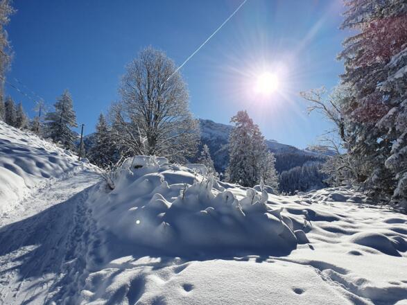 Zur_Bergstation_5