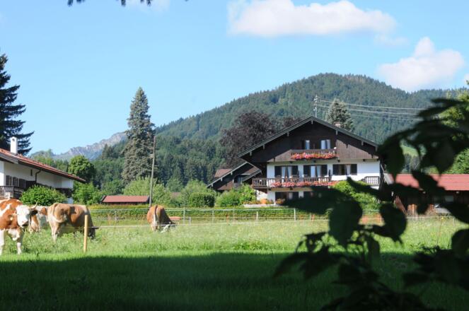 Blick von der Seepromenade auf unser Haus