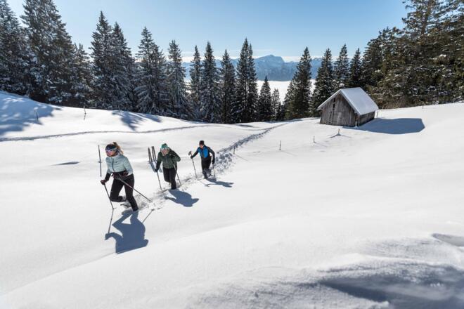 Schneeschuhwanderung Hörnle