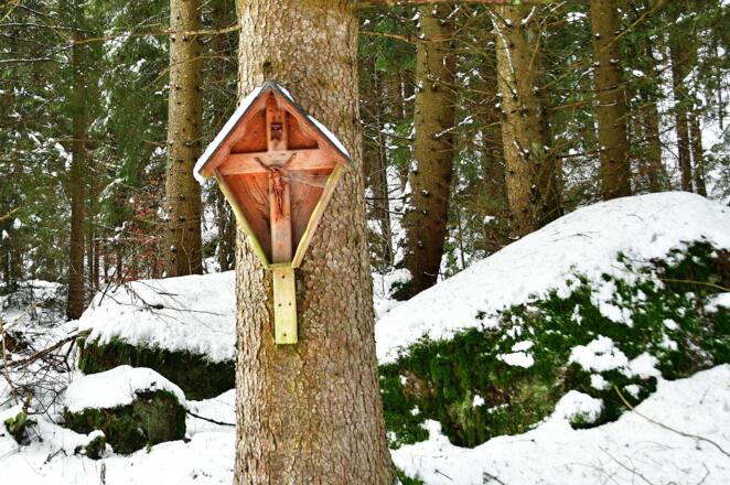 Ein Kreuz neben der Forststraße - was ist hier wohl passiert?