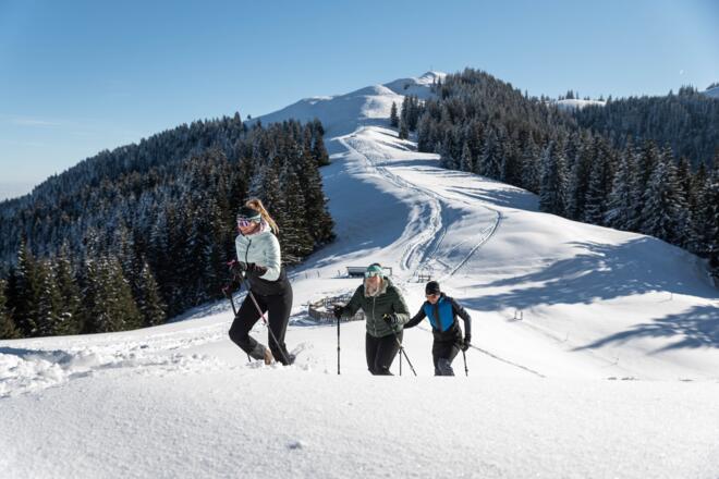 Schneeschuhwandern Hörnle Bad Kohlgrub