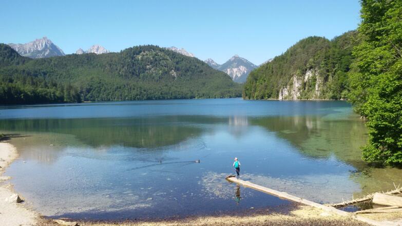 1064 Alpsee Ausflugstip