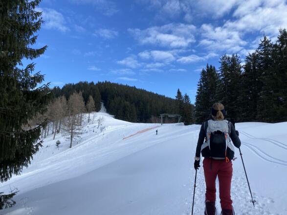 Nach dem wunderschönen Anstieg über den Waldrücken trifft man auf den höchsten Punkt des Übungslifts, durch die Schneise im Bild links gehts weiter auf die Loibersbacher Höhe.