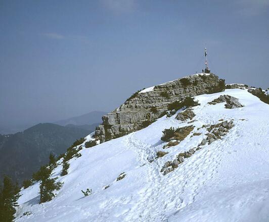 Wallberggipfel