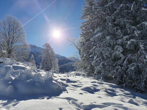 Zur_Bergstation_6