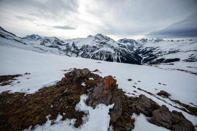 Aussicht auf die Alpen