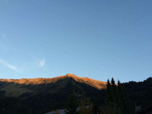 Fellhorngrad