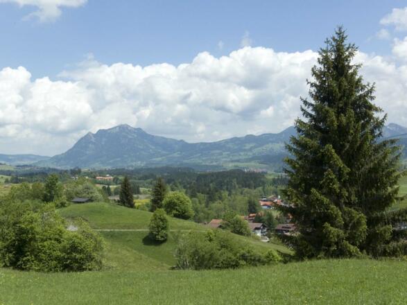 Die schönsten Ausblicke auf der Wanderung hat man am Herrenberg; hier zum Grünten.