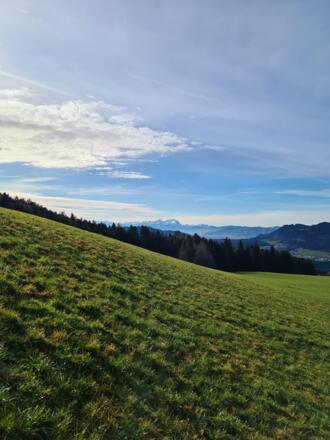 Abstieg Richtung Schönenbühl