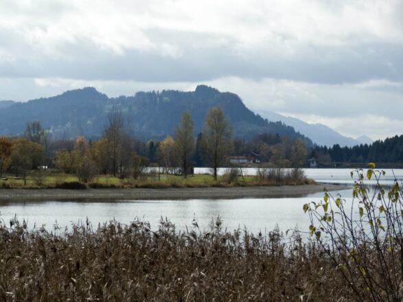 Der Rottachberg über dem See