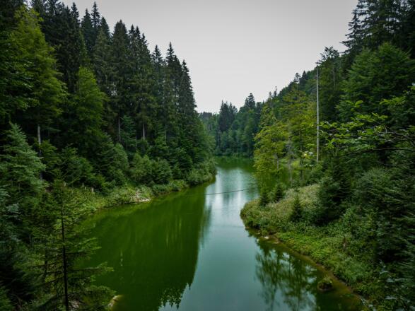 Der Stausee am Gunzesrieder Tobelweg