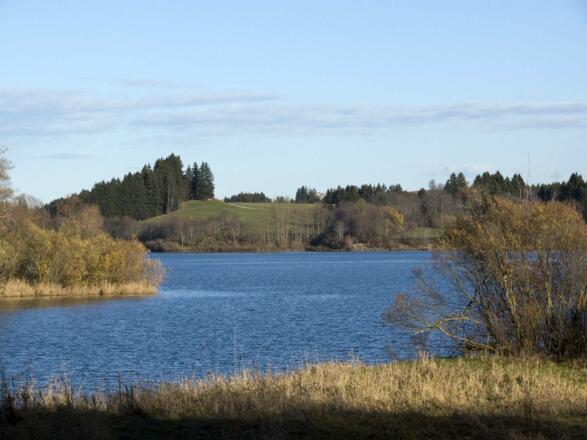 Der Grüntensee ist zu einem Biotop aus zweiter Hand geworden.