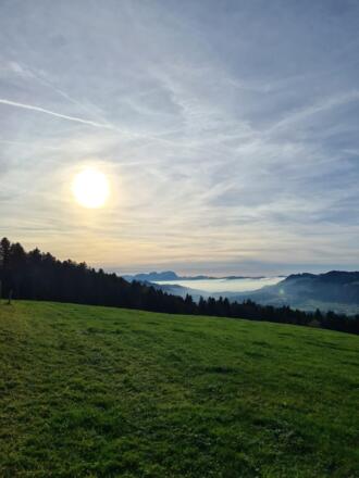 Abstieg Richtung Schönenbühl