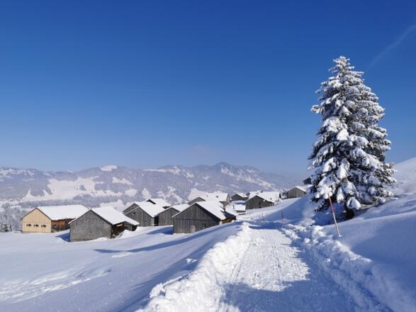 Blick ins Vorsäß Eggatsberg