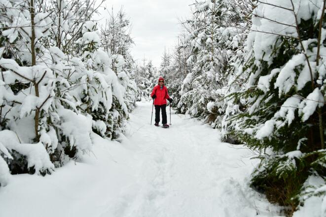 Wandern im Latschenhochmoor